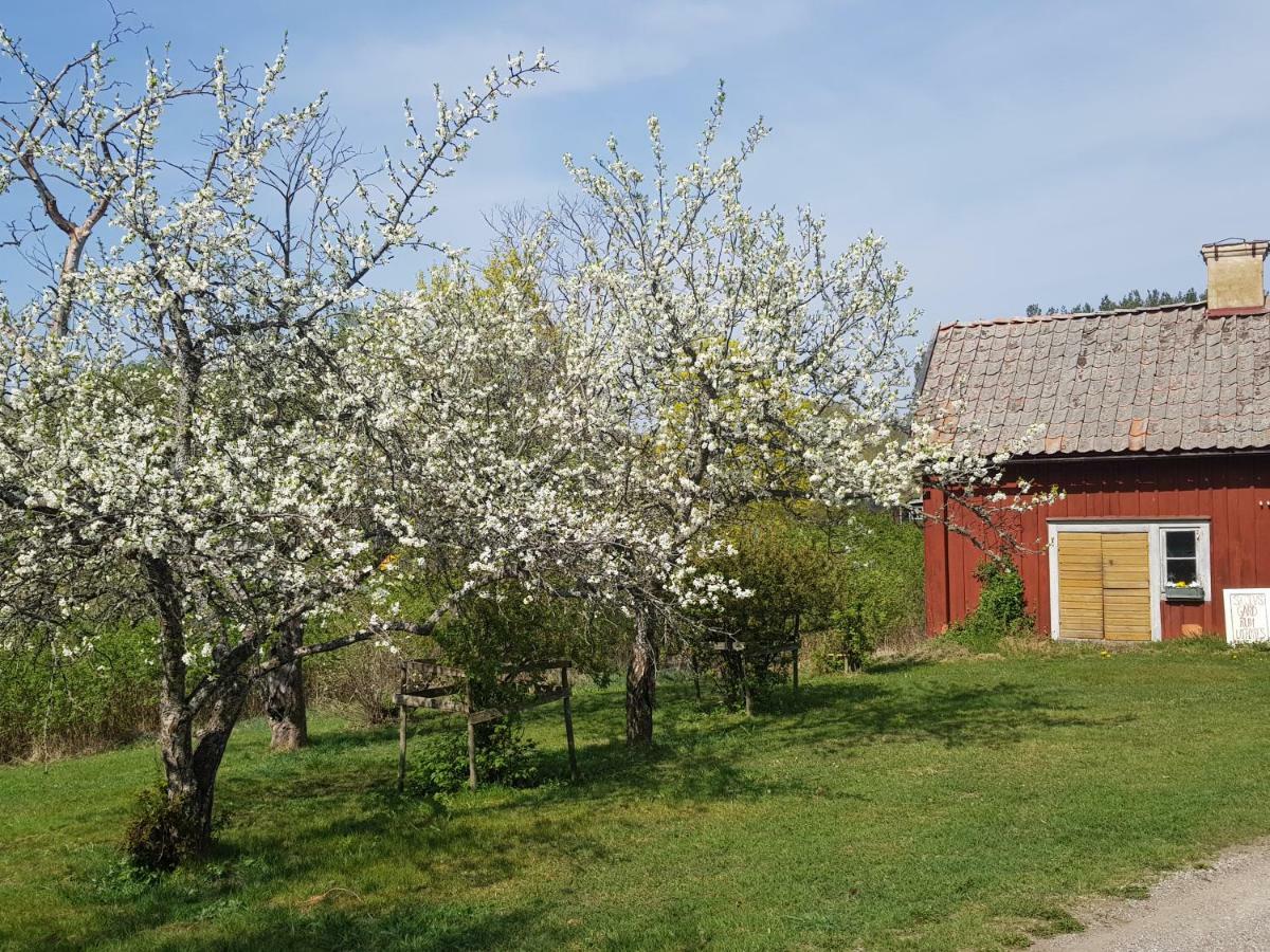 Skoelvs Gard * Glanshammar